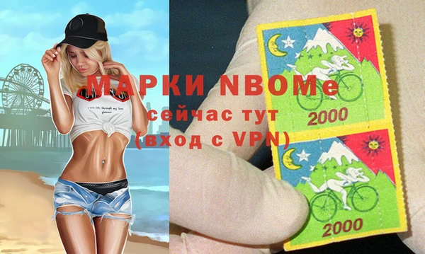 шишки Дмитров