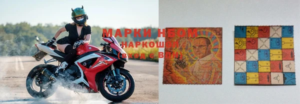 spice Новозыбков