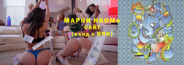 прущие грибы Новокубанск