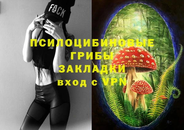 spice Новозыбков