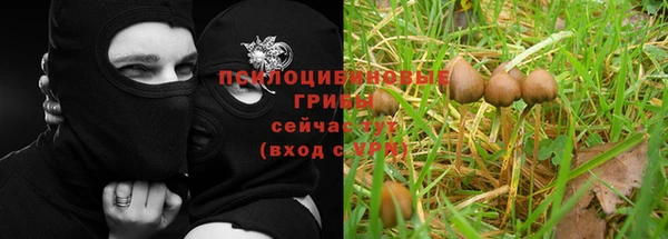 мдма Нязепетровск
