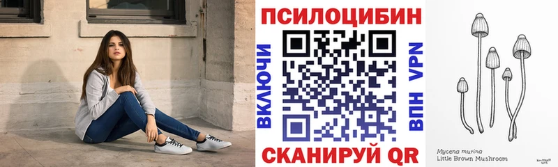 Галлюциногенные грибы Psilocybine cubensis  Омутнинск 